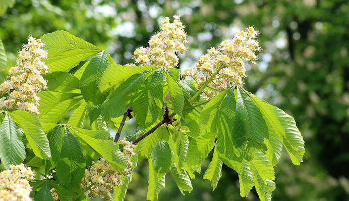 Курс на лето: синоптики порадовали украинцев прогнозом погоды