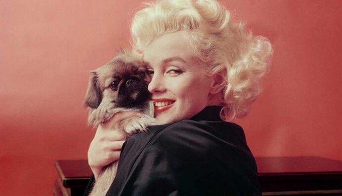 От простого парня до президента США: 5 главных романов именинницы дня Мэрилин Монро