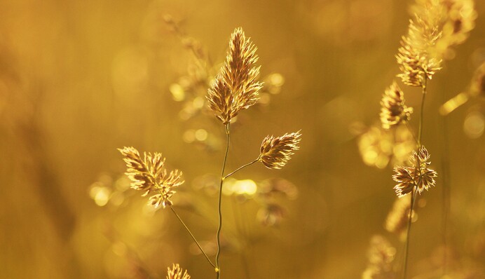 Адская жара: синоптики рассказали о капризах погоды на неделю