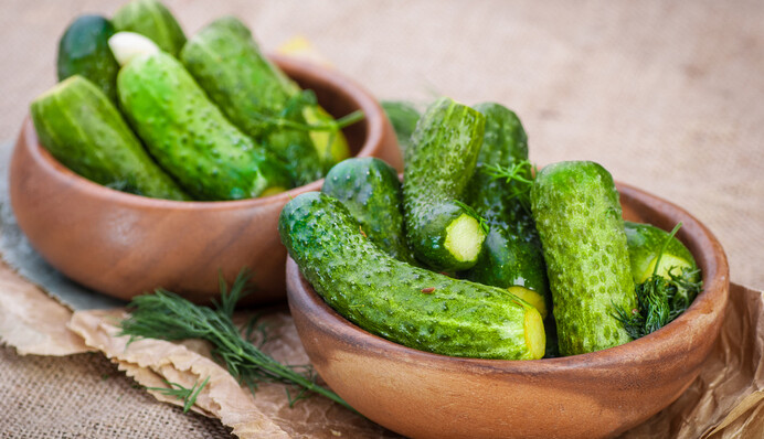 Малосольные огурцы за сутки: простой рецепт хрустящей закуски