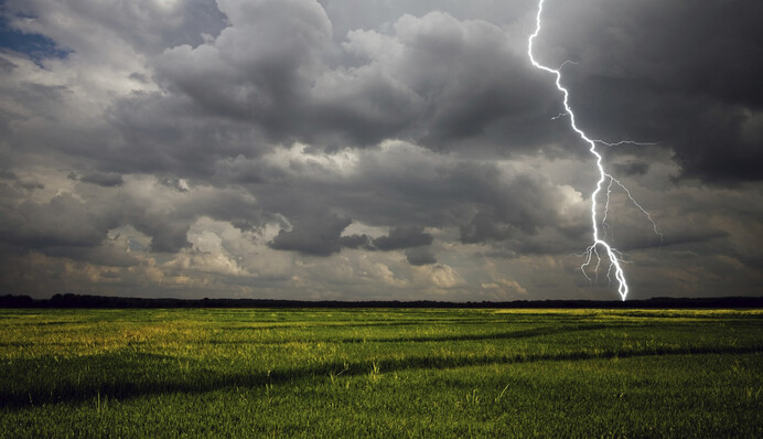 Пекельна спека з грозами: синоптики дали прогноз погоди на Трійцю