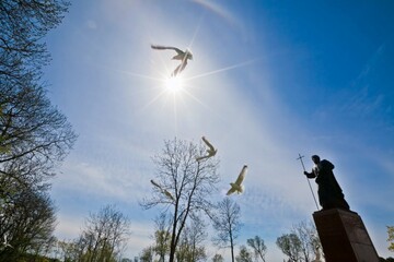 День Святого Духа и именины Петра: какой праздник 17 июня