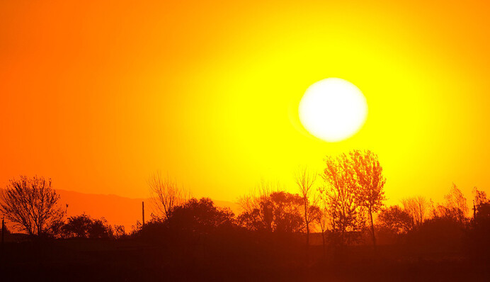 Сезон тропічних ночей: Україну накриє аномальна спека