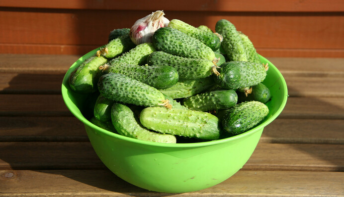 Салат из огурцов: как быстро сделать вкусную заготовку на зиму