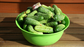 Салат из огурцов: как быстро сделать вкусную заготовку на зиму