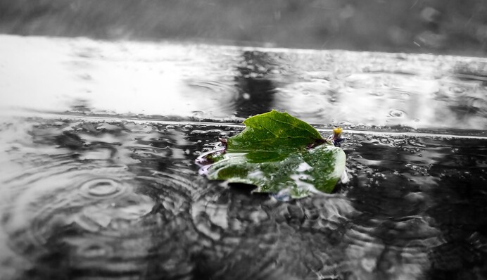 Від 6 до 8 тепла: синоптики здивували прогнозом погоди на вихідні