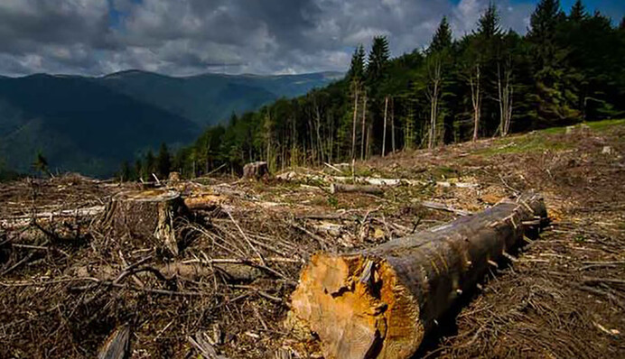 На грани катастрофы: три области Украины под угрозой экологиче­ского бедствия