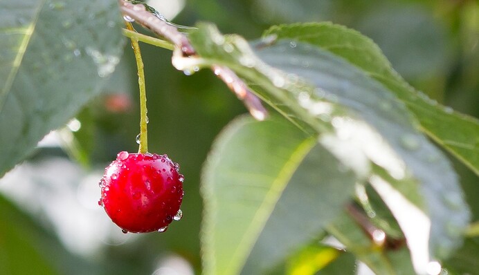 Холодно и мокро: какой будет погода во вторую неделю июля