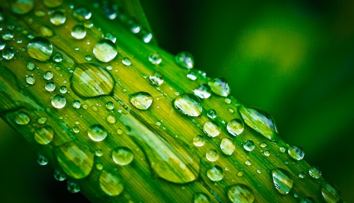 Дощитиме, але +31: синоптики спантеличили погодою на тиждень