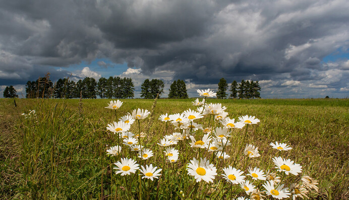 Різке похолодання до +8: з'явився дивовижний прогноз на початок серпня
