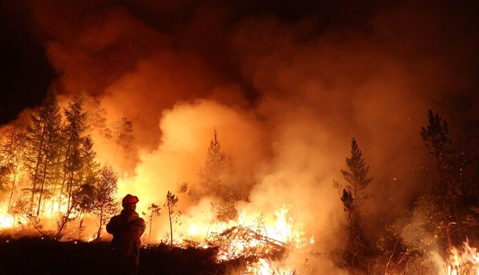 Корисна пожежа в Сибіру: як вогонь 