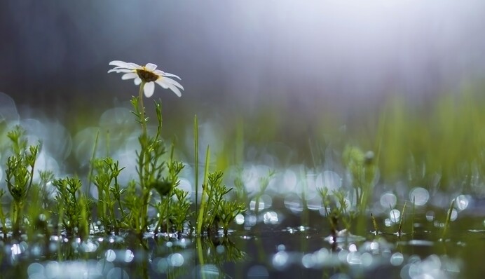 Дощі і похолодання: синоптики дали не літній прогноз на вихідні