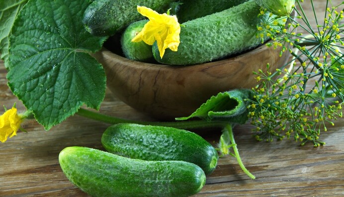 Як замаринувати хрусткі огірки: простий рецепт закуски на зиму