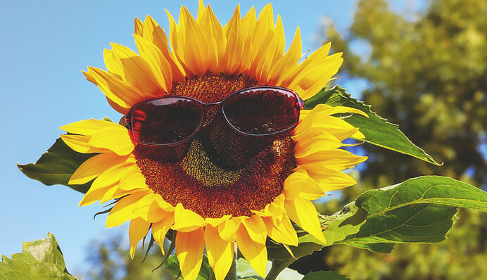 Тропічні ночі і +34: синоптики здивували погодою на найближчі дні