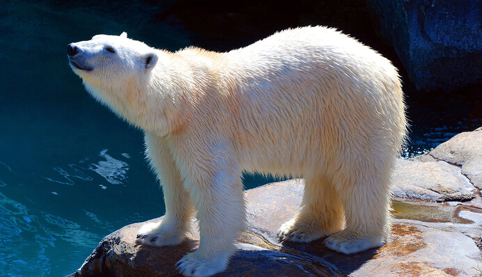 Земля на межі: опубліковано сумний підсумок діяльності людства