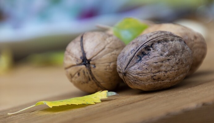 Ореховый Спас 2019: что нельзя делать 29 августа, традиции и приметы