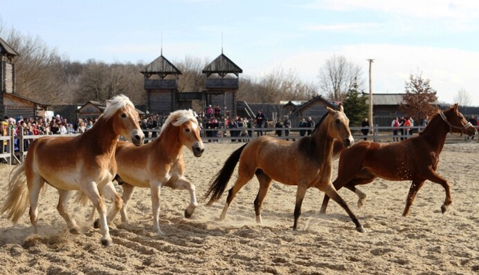 Під Києвом битимуться Княжі дружинники