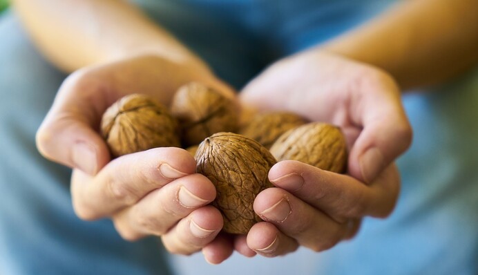 Лучшие поздравления с Ореховым Спасом: открытки, стихи, проза и видео