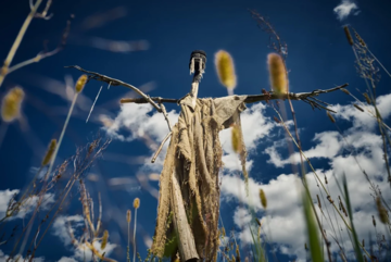 В Україні знімають перший фентезі-серіал: під Житомиром для нього збудували цілих два міста