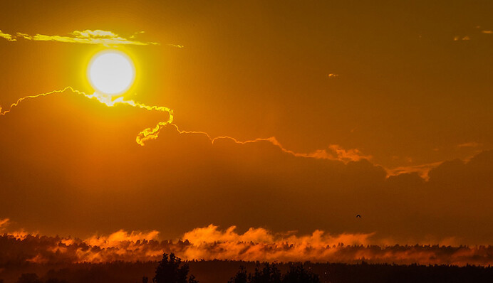Жара +32: синоптики дали прогноз на начало осени