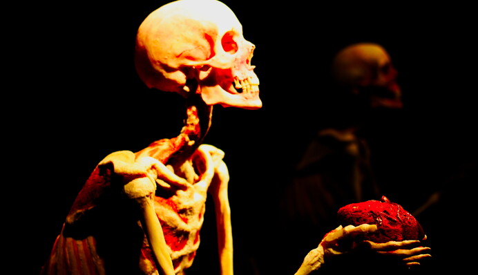 У Києві відкрилася унікальна виставка справжніх людських тіл: ось що ми там побачили