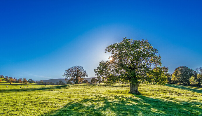 І знову літо: синоптики потішили погодою у вихідні