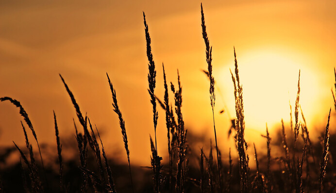 Осень пришла: синоптики предупредили о резком ухудшении погоды