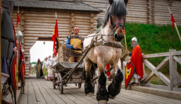 Под Киевом состоится Чемпионат Европы по средневековому бою