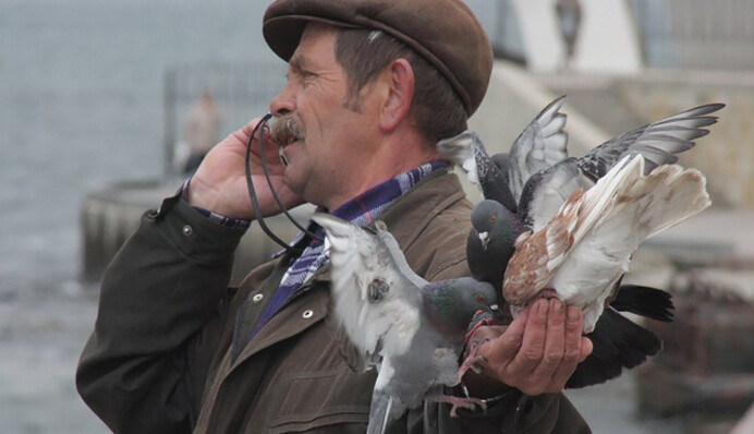 Пенсионный фонд запустил мобильное приложение: это так плохо, что даже хорошо
