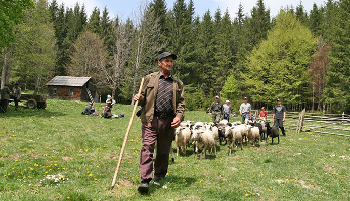 Тут растет только картошка: как власть хочет 