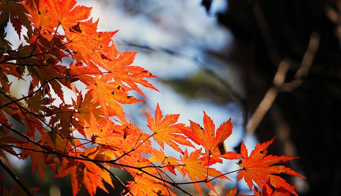У п'ятницю буде кінець: синоптики розповіли про погоду на тиждень