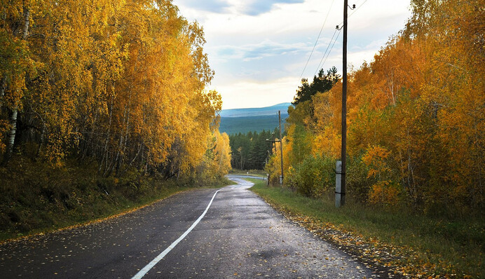 Мокрое потепление: синоптики порадовали погодой на неделю