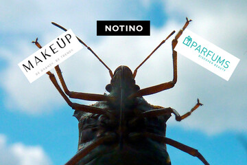 Неприємний дух українського інтернет-ринку косметики та парфумерії