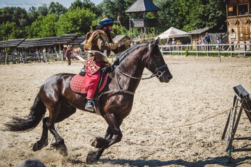 Київська Русь прийматиме міжнародні змагання з кінних бойових мистецтв