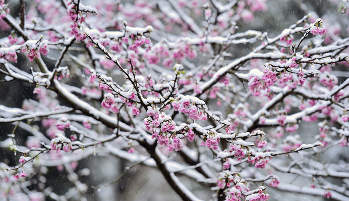 Із крайності в крайність: якою буде погода в Україні в 2020 році