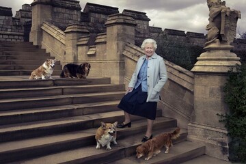 Найбільш розпещені собаки Британії: кухар розповів про меню королівських коргі