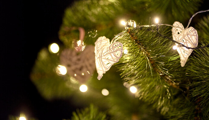 Відома данська компанія подарувала киянам атмосферу новорічного свята: фото