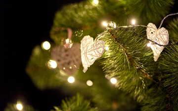 Відома данська компанія подарувала киянам атмосферу новорічного свята: фото