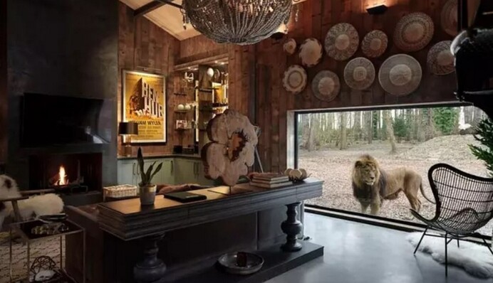 Унікальний готель в Британії пропонує туристам заночувати з левами і тиграми: фото