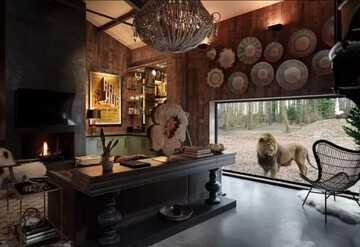 Унікальний готель в Британії пропонує туристам заночувати з левами і тиграми: фото