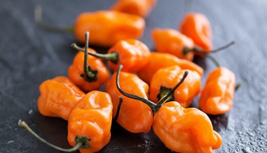 YouTube-блогер решил съесть на камеру сразу два острейших перца, и это была не лучшая его идея: видео