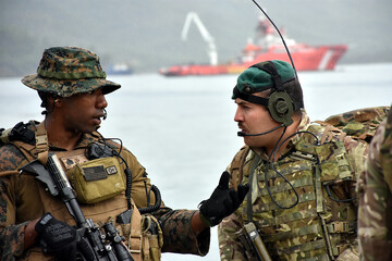 Сімейний скандал: як Туреччина посварилася з НАТО та до чого тут Україна