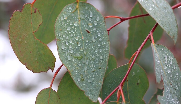 Эта зима поломалась: синоптики дали мрачный прогноз на ближайшие дни