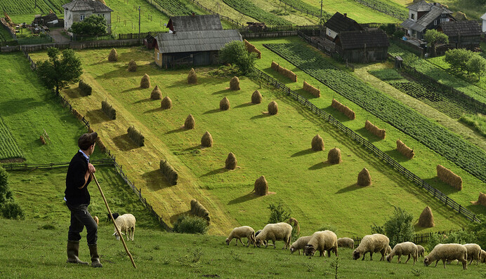 Зеленский, смотри на Запад: у кого Украине брать пример по рынку земли