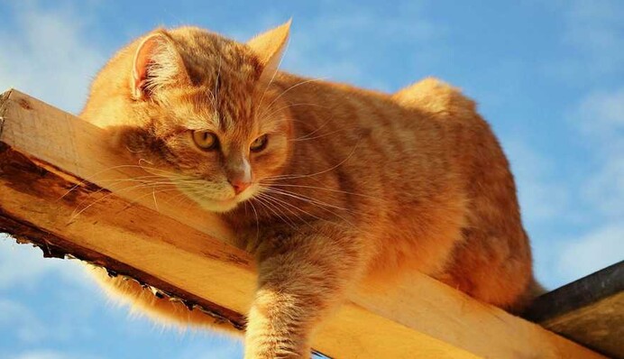 Весенний декабрь продолжается: на выходных будет до +14