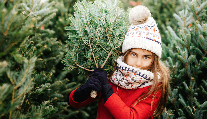 Новий рік зі снігом: які сюрпризи готує погода на найближчі дні