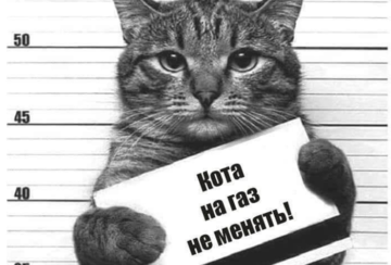 Не чіпай тварин: як "слуга народу" згуртував всю Україну