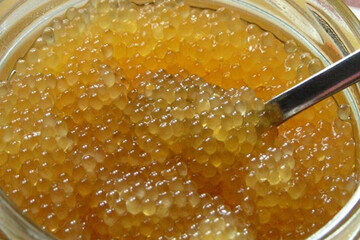 Як заготовити вдома ікру щуки: рецепт і корисні поради