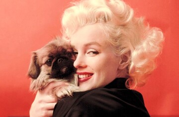 Новий серіал про Мерилін Монро розповість про зв'язки актриси з мафією і родиною Кеннеді