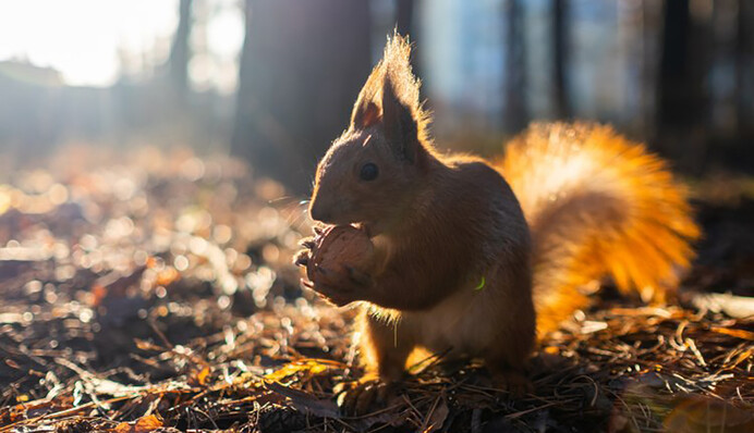 Готовимся к резкому потеплению: синоптики удивили прогнозом на ближайшие дни